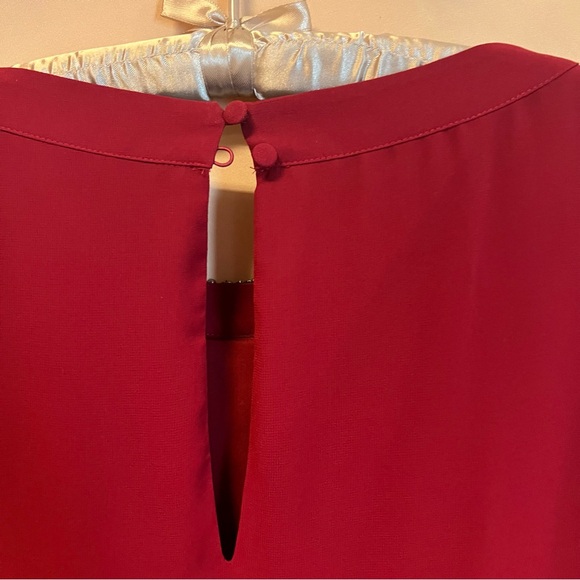 Burnt Red Chiffon Dress (Gently worn) - Picture 9 of 10